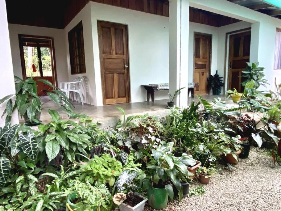 Country house Casa Briza