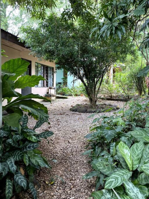 Casa Briza Nicoya