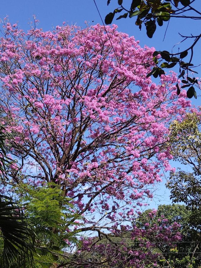 Casa Briza Country house Nicoya